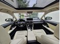 LEXUS RX 2020 - 1