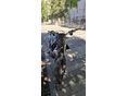 SUZUKI DR-Z 400 2004/8 - 4