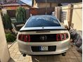 FORD MUSTANG 2013/12 - 4