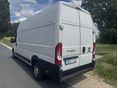 FIAT DUCATO 2019/8 - 2