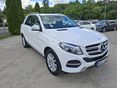 MERCEDES-BENZ GLE 250 2016/11 - 2