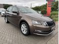 SKODA OCTAVIA 2017/11 - 2