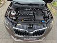 SKODA OCTAVIA 2017/11 - 10