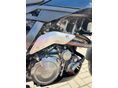 APRILIA PEGASO 650 2006/3 - 10