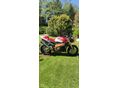 APRILIA TUONO 1000 2007/10 - 3