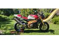 APRILIA TUONO 1000 Factory