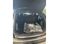 FORD KUGA 2026 - 8