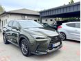 LEXUS NX 2024/1 - 6
