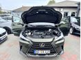 LEXUS NX 2024/1 - 11