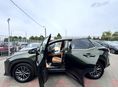 LEXUS NX 2024/1 - 13