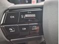 ALFA ROMEO JUNIOR 2025/6 - 11