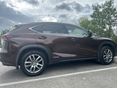 LEXUS NX 2017/1 - 1