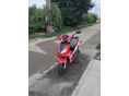 LINEA VIPER 2012/10 - 2