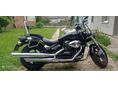 SUZUKI VZ 800 (INTRUDER) 2008/2 - 2