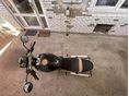 DUCATI MONSTER 600 1999 - 4