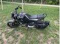 HUSQVARNA SVARTPILEN 125 2021 - 3