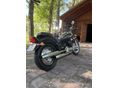 YAMAHA XVS 650 DRAG STAR 2002 - 4