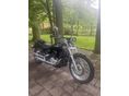 YAMAHA XVS 650 DRAG STAR 2002 - 5