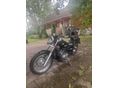 YAMAHA XVS 650 DRAG STAR 2002 - 7
