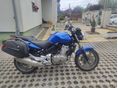 HONDA CBF 500 2006/6 - 4