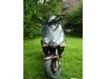 BENELLI QUATTRONOVE X 2014/1 - 2