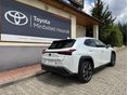 LEXUS UX 2025/1 - 3