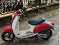 HONDA SCOOPY 