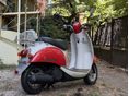 HONDA SCOOPY 2017 - 3