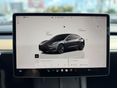 TESLA MODEL 3 2022/3 - 16