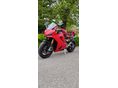 DUCATI PANIGALE V2 V2 S TERMIGNONI