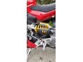 DUCATI PANIGALE V2 2025/3 - 5