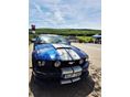 FORD MUSTANG Fastback 4.0 V6