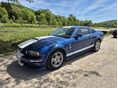 FORD MUSTANG 2007/9 - 2