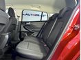 FORD FOCUS 2020/11 - 12