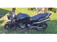 HONDA CB 900 F (HORNET) 2004/12 - 5