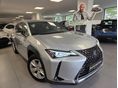 LEXUS UX 2021/7 - 1