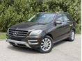 MERCEDES-BENZ ML 250 2015/3 - 1