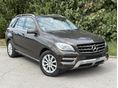 MERCEDES-BENZ ML 250 2015/3 - 4