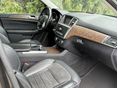 MERCEDES-BENZ ML 250 2015/3 - 10