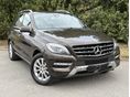 MERCEDES-BENZ ML 250 2015/3 - 4