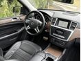 MERCEDES-BENZ ML 250 2015/3 - 7