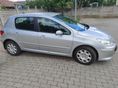 PEUGEOT 307 2007/11 - 9