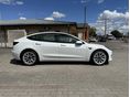 TESLA MODEL 3 2022/3 - 6