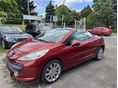 PEUGEOT 207 2008/8 - 9