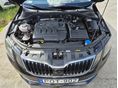 SKODA OCTAVIA 2018/2 - 11
