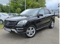 MERCEDES-BENZ ML 250 2013/8 - 1