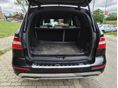 MERCEDES-BENZ ML 250 2013/8 - 11