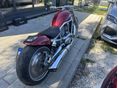 HARLEY-DAVIDSON V-ROD (VRSCA) 2003/12 - 8