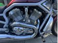 HARLEY-DAVIDSON V-ROD (VRSCA) 2003/12 - 9