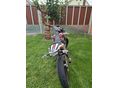 APRILIA SX 50 2016/1 - 4